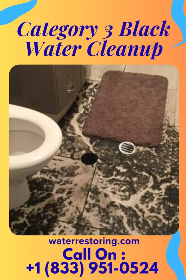 Category 3 Black Water Cleanup in Beach Park, IL
