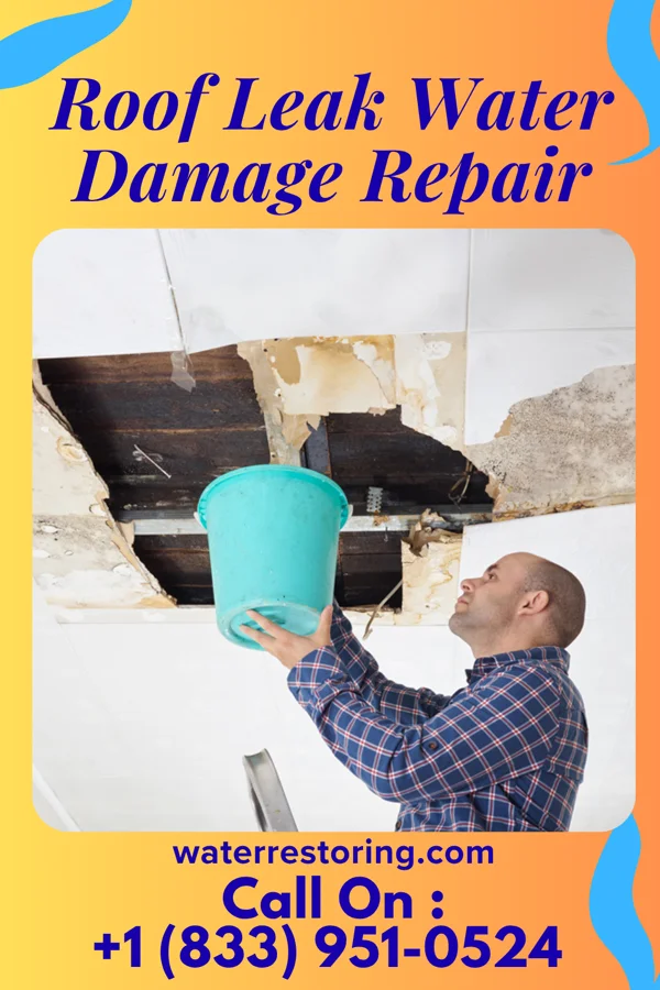 Roof Leak Water Damage Repair in Beach Park, IL